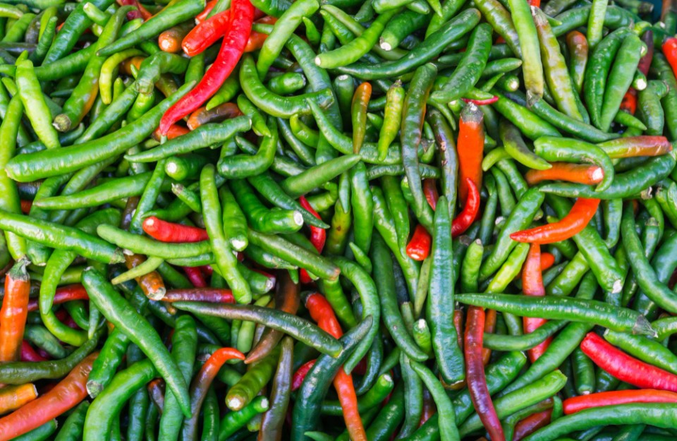 Green Chilli Price Today In Haryana On April Know On